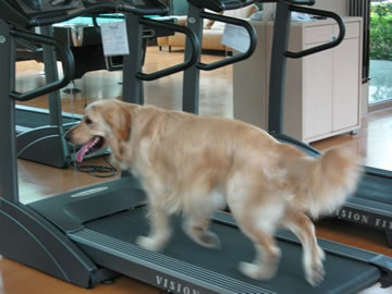 Blonde_on_treadmill